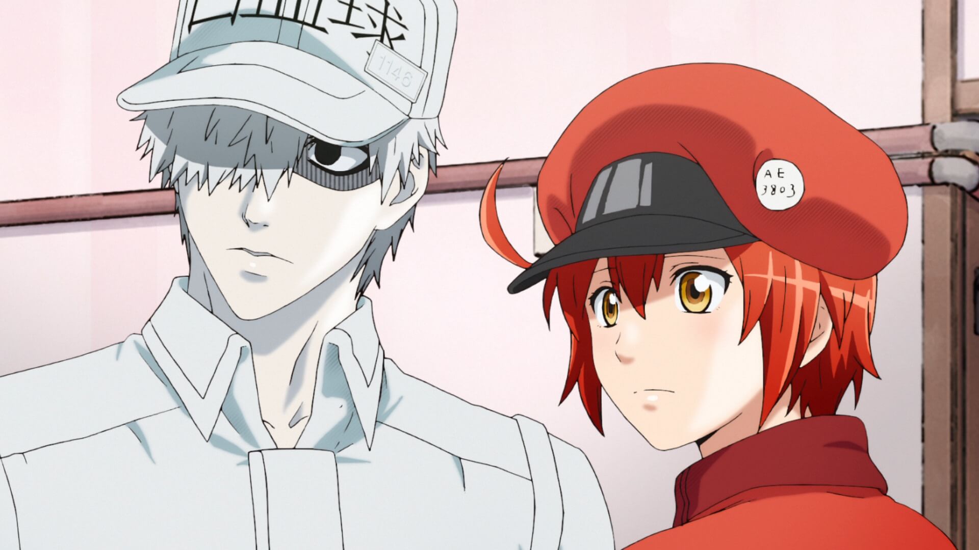 Cells At Work Illegal Manga Concludes in September with 4th Volume  Anime  India